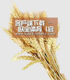 客户端下载 - 欧宝体育（官方) - 热门直播 - 足球赛事 - OUBAOSPORTS