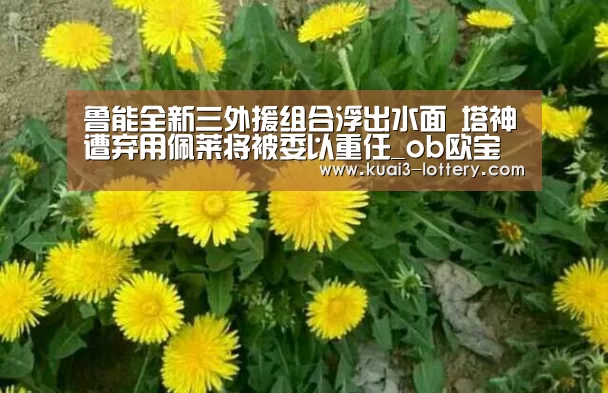 鲁能全新三外援组合浮出水面 塔神遭弃用佩莱将被委以重任_ob欧宝体育平台(图1) ob欧宝体育APP下载