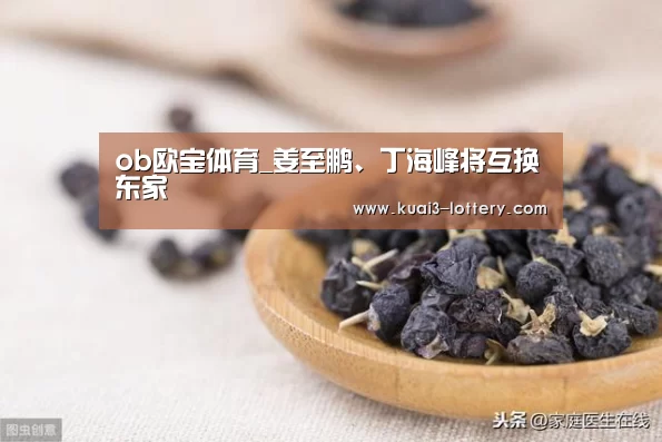 ob欧宝体育_姜至鹏、丁海峰将互换东家(图1) ob欧宝体育官网