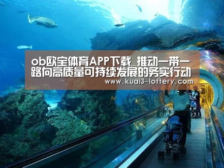 ob欧宝体育APP下载_推动一带一路向高质量可持续发展的务实行动